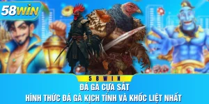 Đá Gà Cựa Sắt - Hình Thức Đá Gà Kịch Tính Và Khốc Liệt Nhất