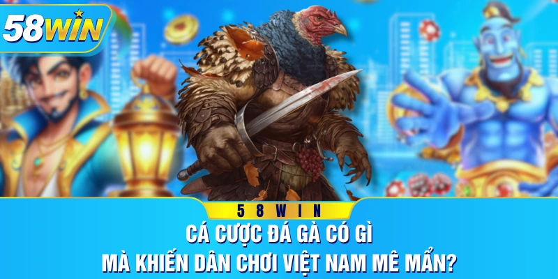 Cá Cược Đá Gà Có Gì Mà Khiến Dân Chơi Việt Nam Mê Mẩn?