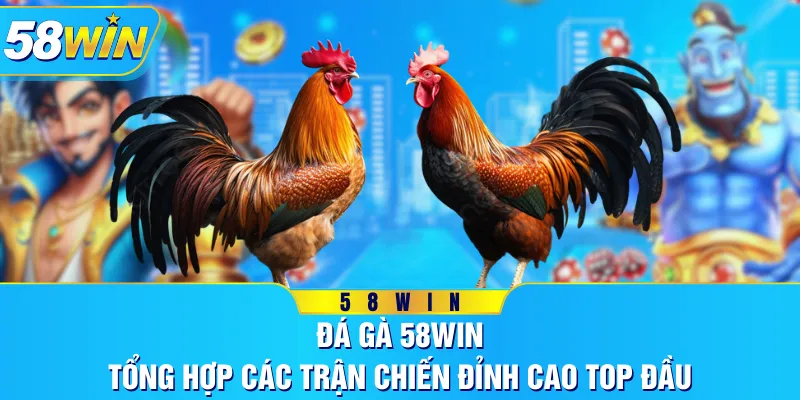 Đá Gà 58WIN - Tổng Hợp Các Trận Chiến Đỉnh Cao Top Đầu
