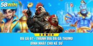 Đá Gà 67 - Thánh Địa Đá Gà Thomo Đỉnh Nhất Cho Kê Sư