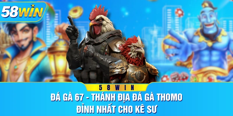 Đá Gà 67 - Thánh Địa Đá Gà Thomo Đỉnh Nhất Cho Kê Sư