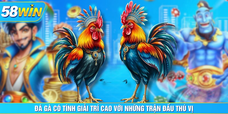Đá gà có tính giải trí cao với những trận đấu thú vị