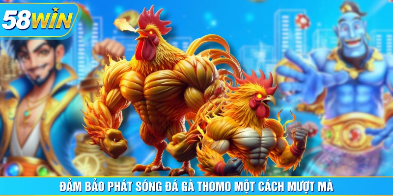 Đảm bảo phát sóng đá gà Thomo một cách mượt mà
