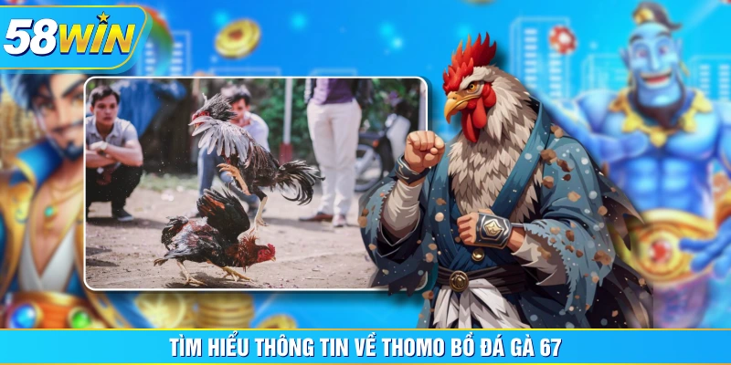Tìm hiểu thông tin về Thomo bồ đá gà 67