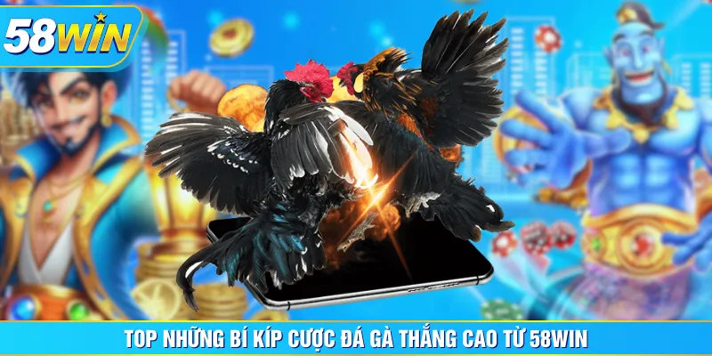 Top những bí kíp cược đá gà thắng cao từ 58WIN